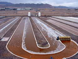 Sandia's RapTOR technology will tackle the problem of algal pond crashes, which occur in raceway ponds such as this one.
