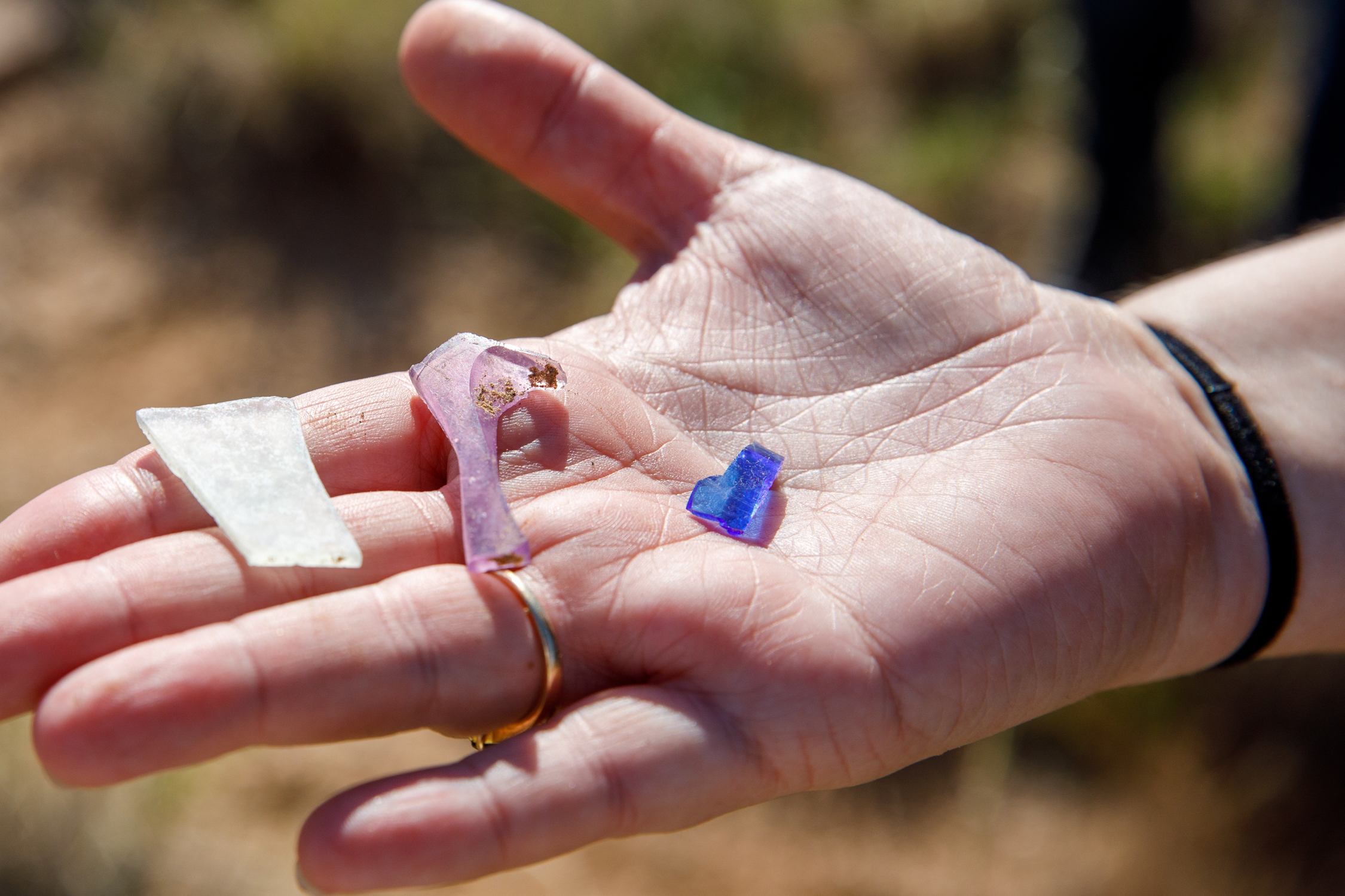 During a tour with a group of Sandia National Laboratories employees, archaeologist Christina Chavez shared that a site dates to the early 1900s due to purple glass found in the area. During the early 20th century, glass was tempered using the element Manganese, which turns purple after many years of being exposed to the sun. This color of the glass reveals the estimated timeframe when the glass was produced and left in the area.