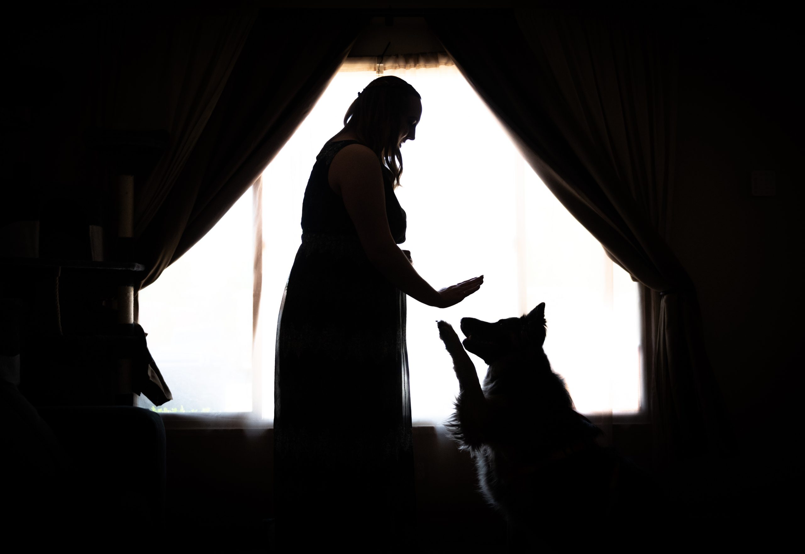 Sandia National Laboratories advanced microsystems business lead Heather Spalding and her service-dog-in-training Bowie share a special moment of affection.