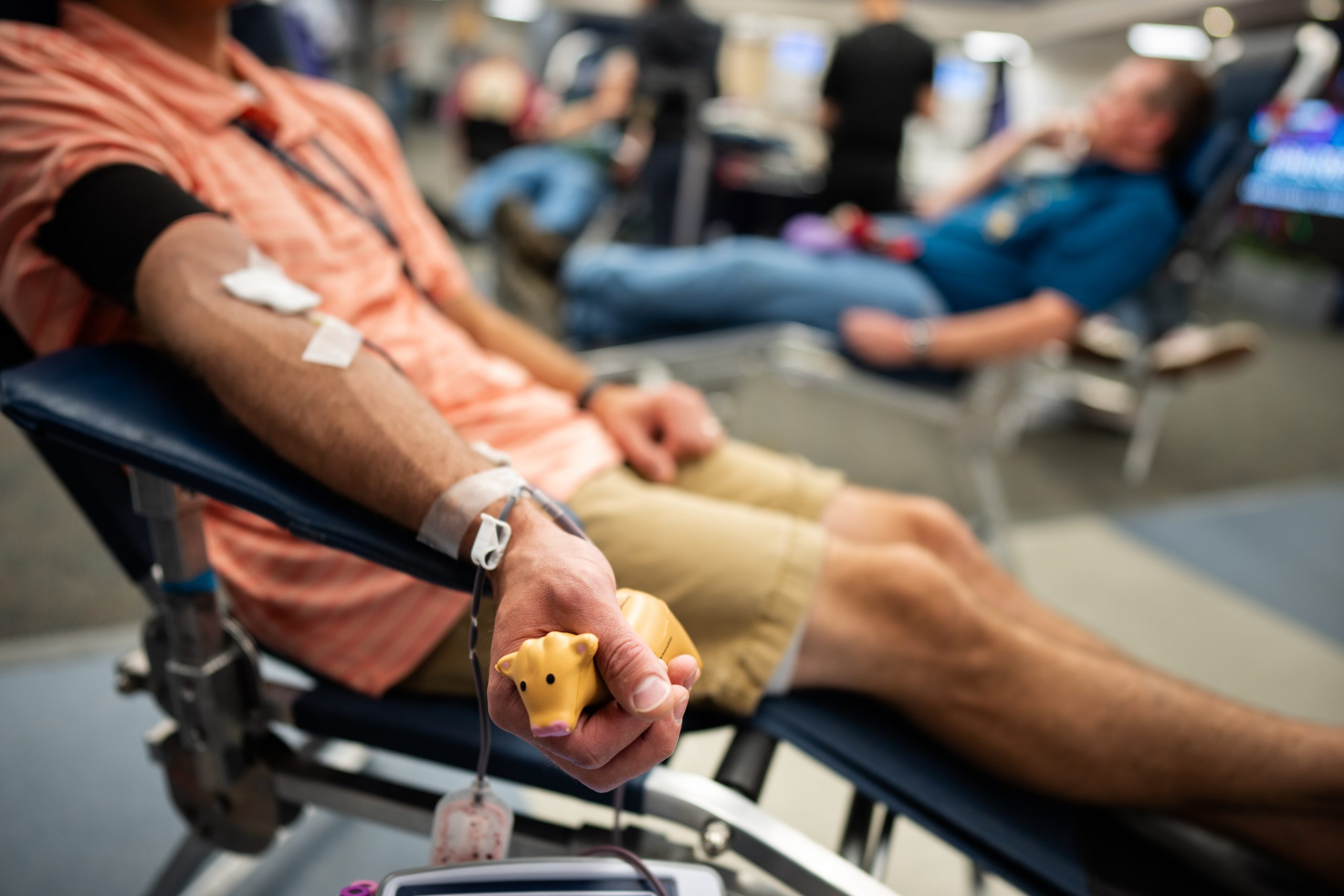 Sandia employee Andrew Harvey uses a squeezable cow to help blood flow during the blood drive at Sandia National Laboratories on June 27, 2023.