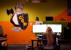 Sandia National Laboratories intern Grace Kenny works in the Center for Cyber Defenders office. The colorful, collaborative workspace includes the center’s own take on the Linux penguin.