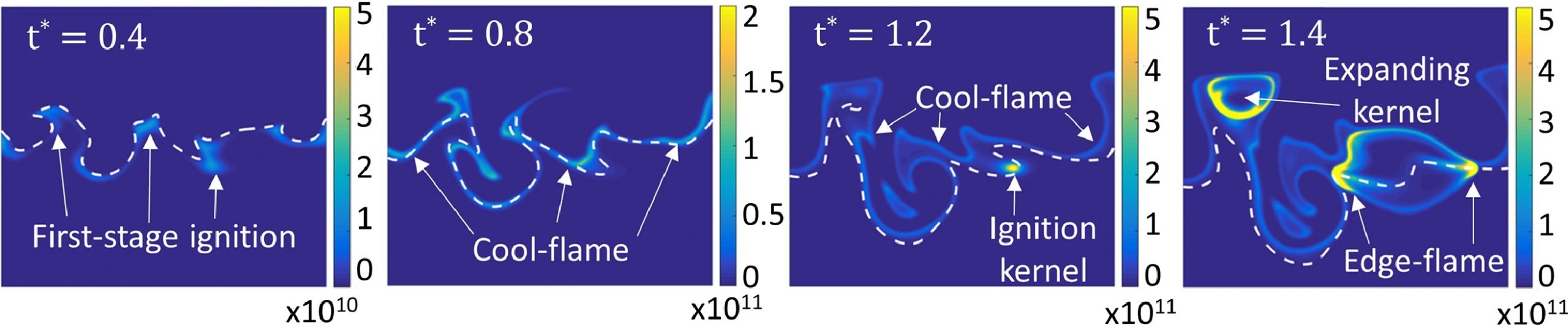 Direct Numerical Simulation shows the heat release rate of the first stage of autoignition of dimethyl ether. The first stage is initiated in fuel-lean mixtures