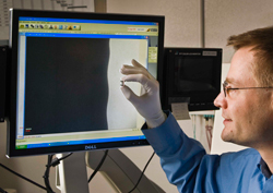 Daniel Sinars examines one of the aluminum cylinders used in the Z pulsed power experiments. The monitor on the X-ray machine in the background displays a highly magnified, pre-experiment view of the wavering edges machined into the outside edge of the cylinder. These were used to intentionally start the growth of the instability. Click on the thumbnail for a high-resolution image.