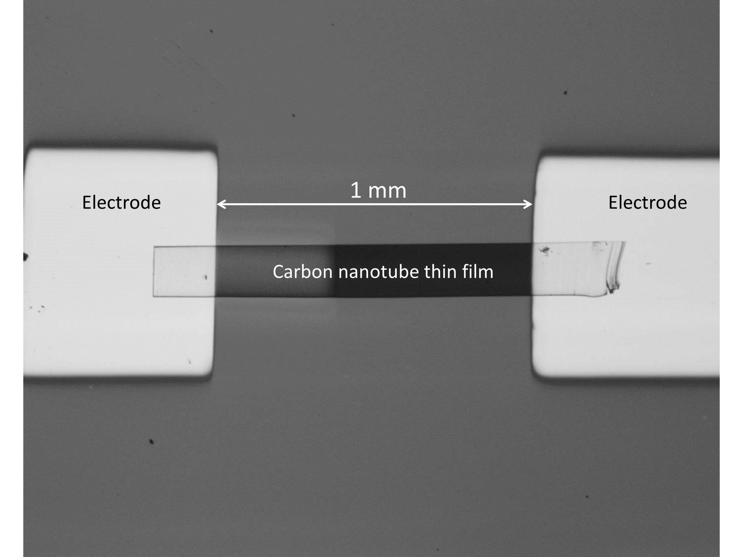 This photograph depicts the terahertz detector developed by researchers at Sandia National Laboratories, Rice University and the Tokyo Institute of Technology. The terahertz radiation is captured by a carbon nanotube thin film contacted by two gold electrodes.