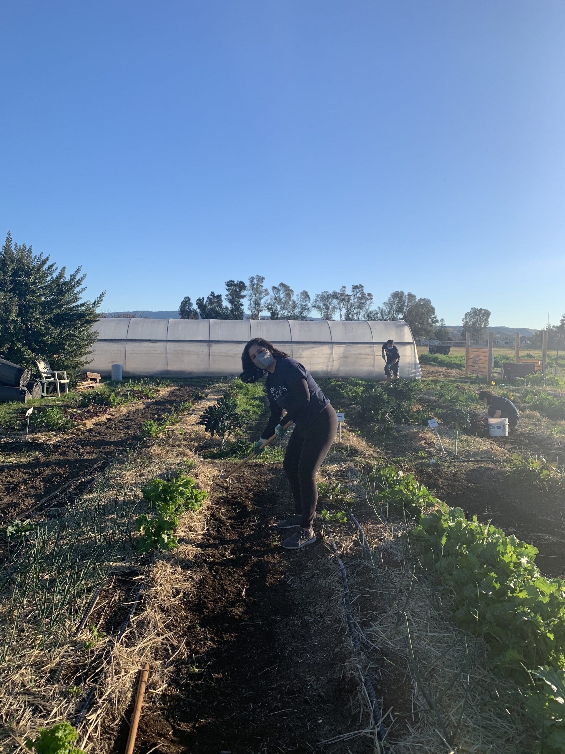 Sandia National Laboratories employee Kayla Norris pulls weeds at Fertile Groundworks in Livermore, California, to prepare the garden for spring planting. Fertile Groundworks provides thousands of pounds of produce annually to area community kitchens and food pantries to help feed the hungry.