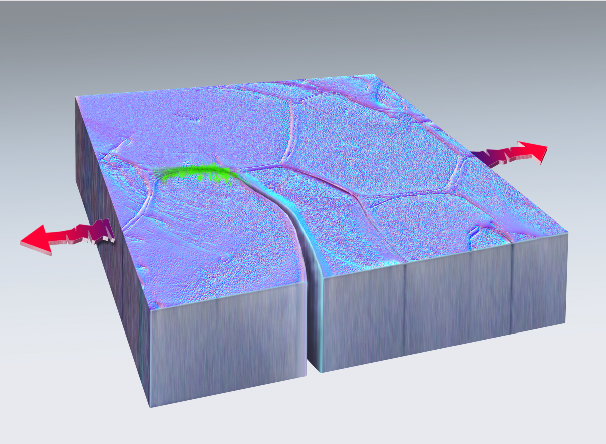 Green marks the spot where a fissure formed, then fused back together in this artistic rendering of nanoscale self-healing in metal, discovered at Sandia National Laboratories. Red arrows indicate the direction of the pulling force that unexpectedly triggered the phenomenon.