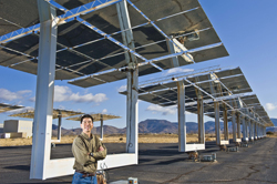 Clifford Ho, 2010 Asian American Engineer of the Year  in Sandia's solar heliostat field.