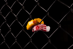 Mouth guards by Albuquerque Delicate Dentistry have customized colors and designs.