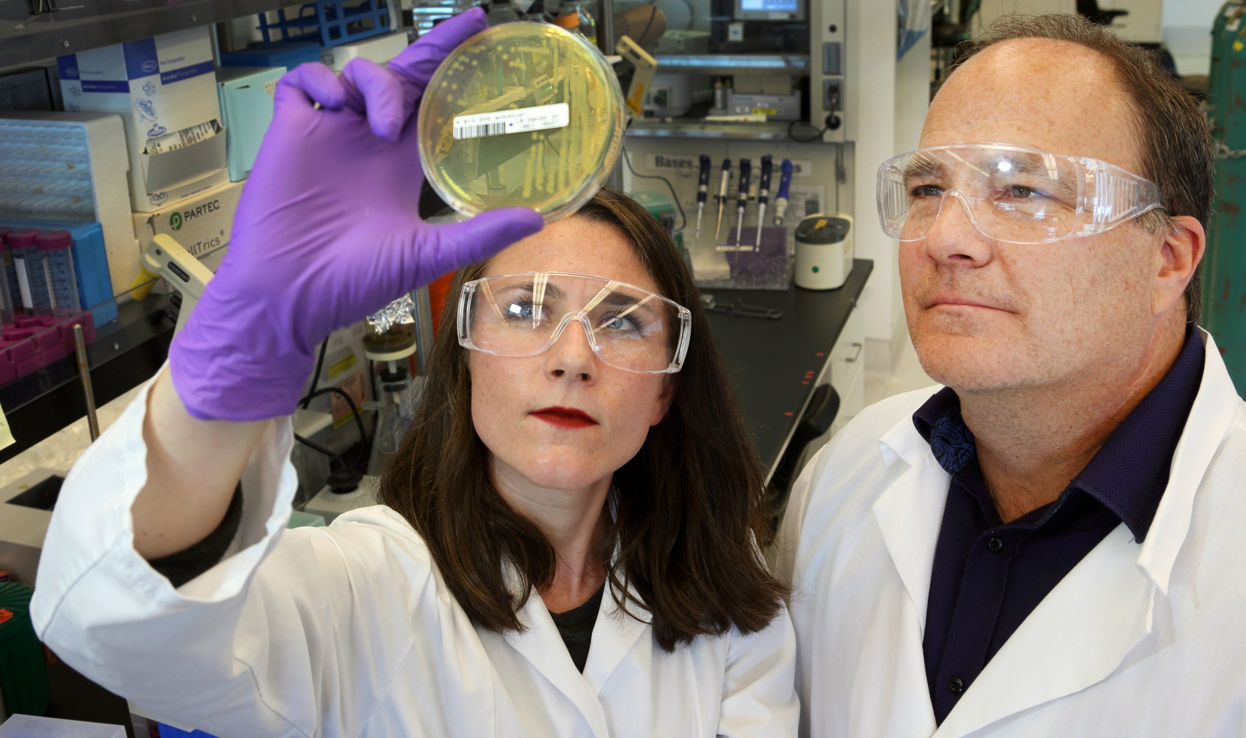 Sandia National Laboratories researchers Amanda Kohler and Ken Sale study the bacteria they used to produce LigM.