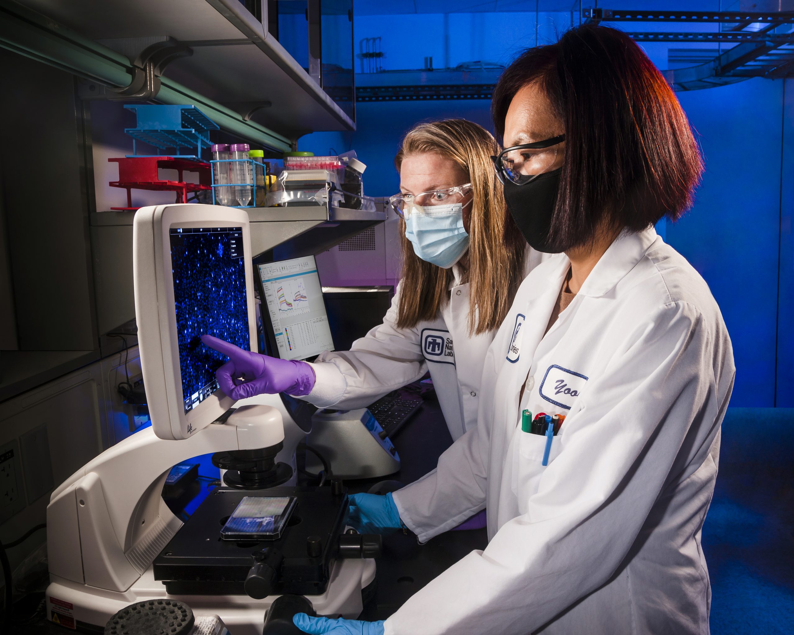 Sandia National Laboratories researchers Jennifer Schwedler, left, and Yooli Kim Light advance the creation of a wide array of disease-fighting tools, including nanobody therapies.