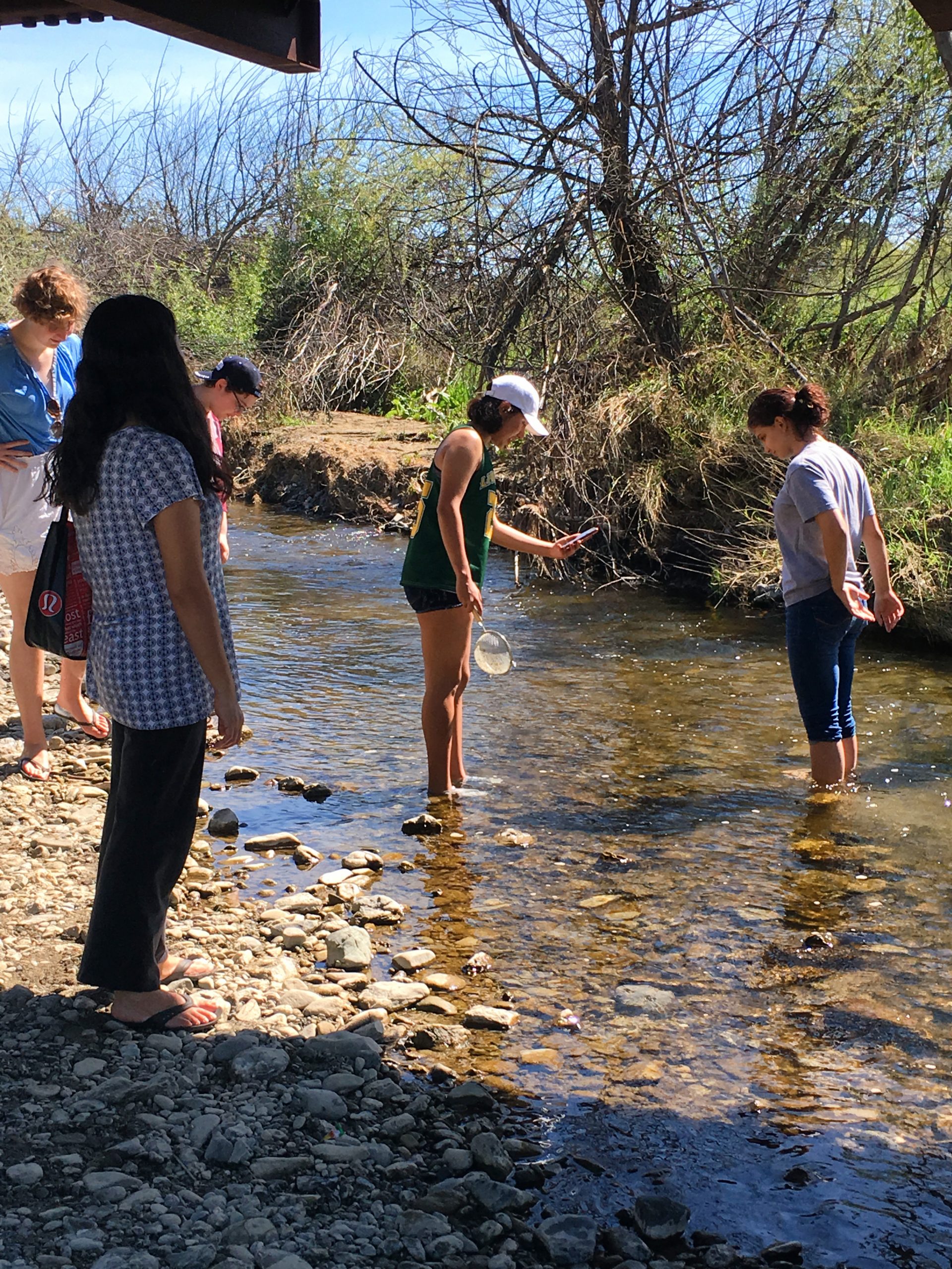Vineyard High School science teacher Gretchen Reynolds' students take data from a creek in Livermore, California’s Robertson Park.