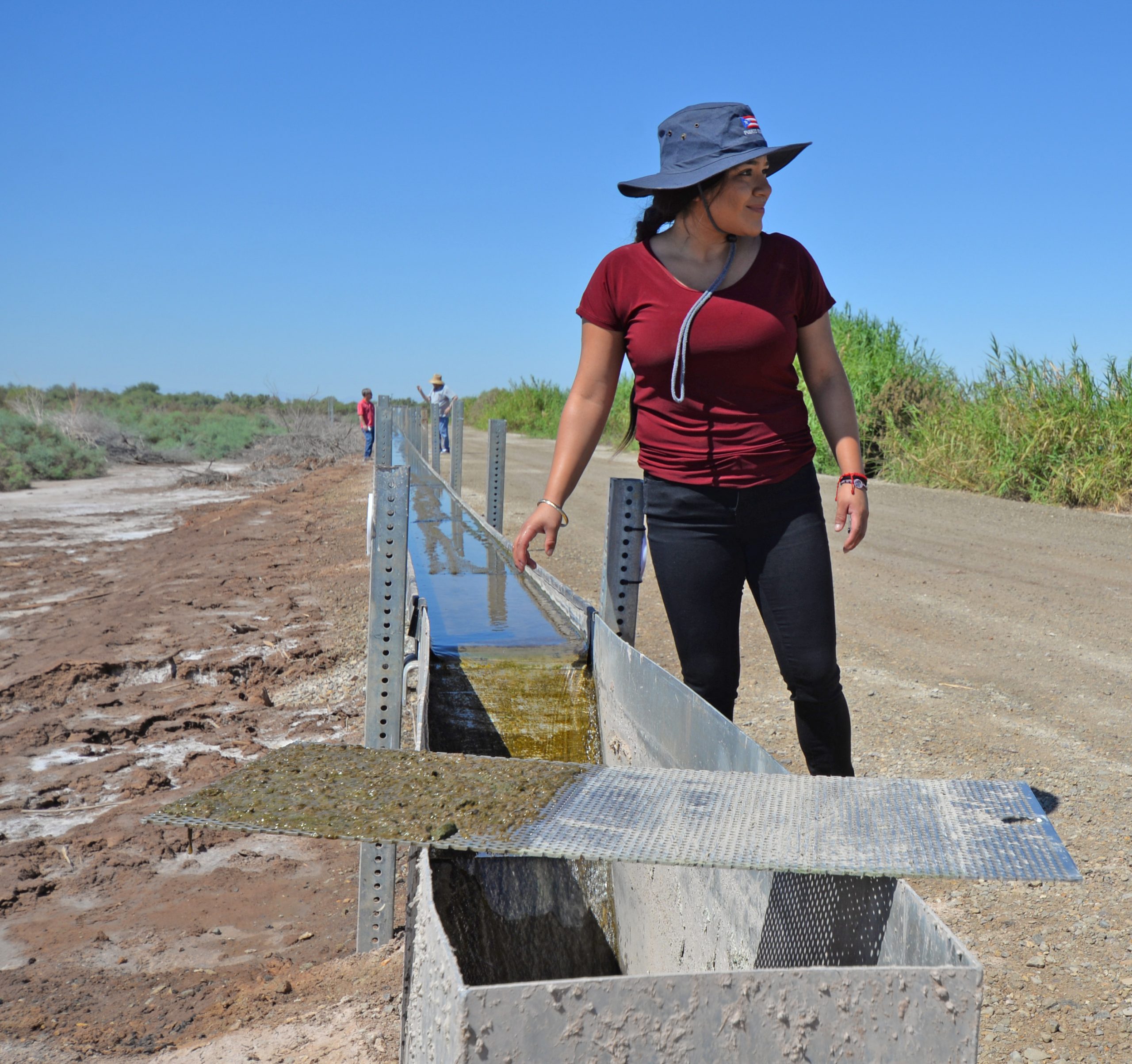Imperial Valley Conservation Research Center's Jeanette Lucero is helping operate the Sandia National Laboratories SABRE Project floway. Algae grown in the system is visible in the foreground.