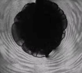 An image of an experiment 80 microseconds after detonation using schlieren imaging. The image shows the leading edges, fingernail like protrusions from the center, and emanating bands, lighter ripples. Sandia National Laboratories scientists hope this kind of data on fracture formation in plexiglass can be used to make geothermal energy more accessible.