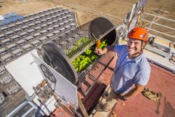 Sandia National Laboratories engineer Ken Armijo installs a chile roaster on top of the solar tower above a field of mirror heliostats. Armijo will present his research at a conference on energy and sustainability this July.