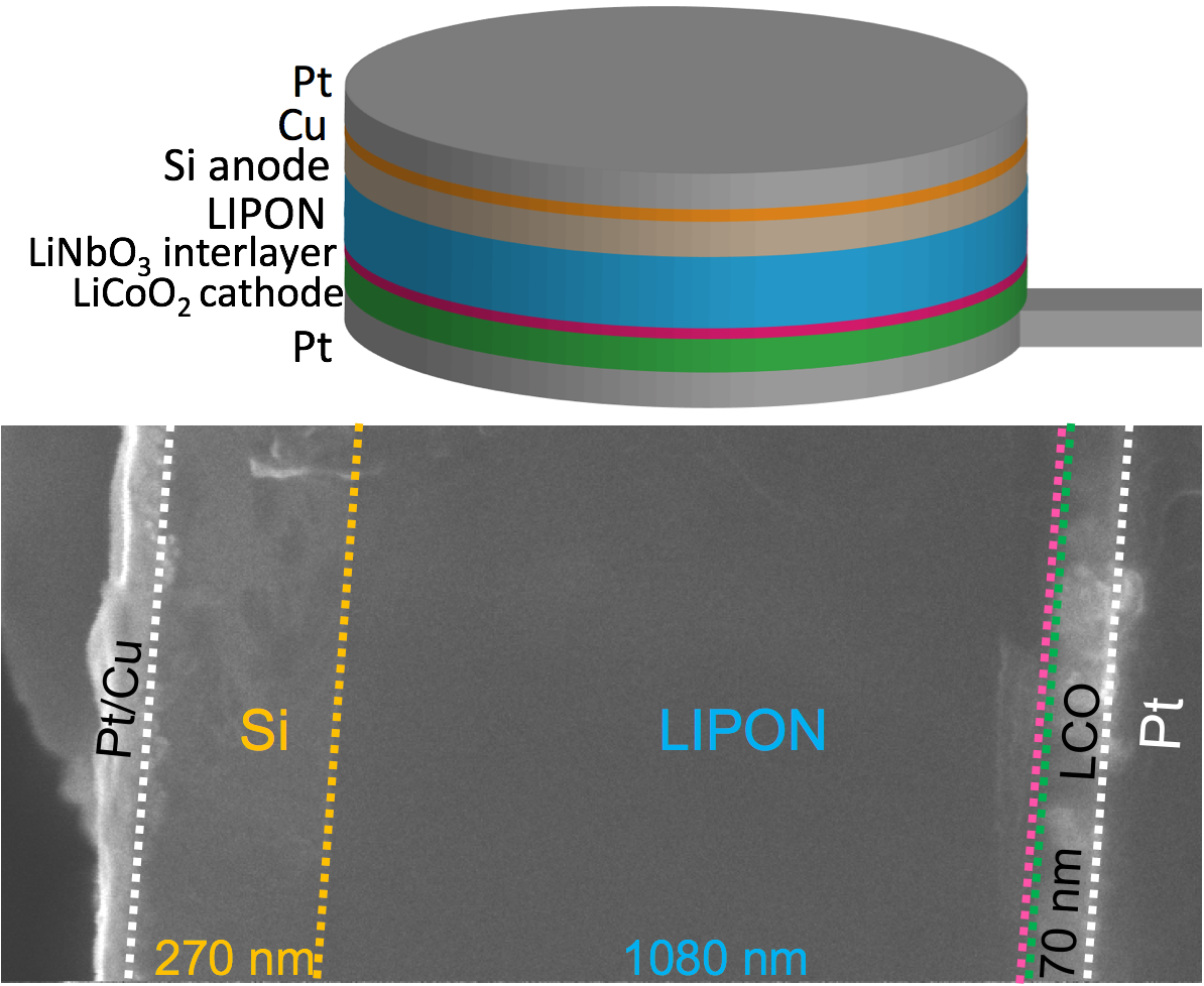 Schematic of full battery cell architecture and cross-sectional microscopic image of the actual battery.