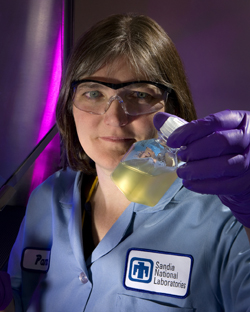 In a joint study with General Motors Corp., Sandia researchers examined the full range of biofuels supply chain components, including production of biomass feedstocks, storage and tranportation of those feedstocks, construction of conversion plants, and conversion of feedstocks to ethanol at these plants