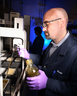 Sandia's '90 Billion Gallon Biofuel Deployment Study' concludes that 90 billion gallons per year of biomass-derived ethanol can be produced and distributed with enduring government commitment and continued technological progress