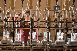 Sandia researcher Susan Altman conducts research to minimize biofouling on reverse osmosis membranes used for desalination in her laboratory