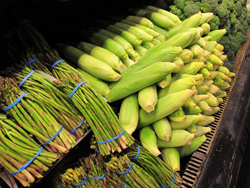 Stochastic food chain mapping could prevent more healthy food from being lost to outbreak concerns.