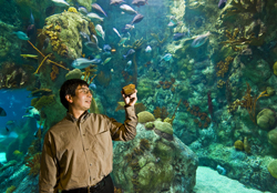 Yifeng Wang holds a piece of banded iron during a visit to an aquarium. Wang and colleagues have proposed an explanation -- published recently in Nature Geoscience -- for the precipitation of banded iron deposits in the planets oceans billions of years ago.