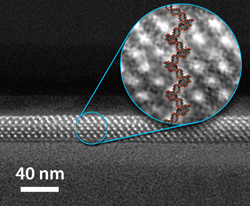 Making Progress Slowly--this drawing illustrates DNA snaking through a Sandia-developed array of kinked pores, a process that slows its passage.