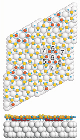 A model of the structure is shown in a topview and a sideview. The numbers label a cluster consisting of a central hexagon surrounded by pentagons and heptagons. Click on the thumbnail for a high-resolution image.