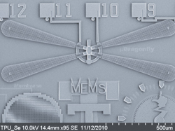 Scanning electron microscope of Texas Tech student-designed micro-dragonfly.