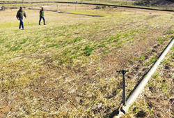 Environmental managers Mike Mitchell and Don Schofield check on the establishment of the new vegetation on the MWL cover.