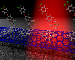 This diagram depicts a representation of chromophores attaching to a transistor made from a single carbon nanotube. Media are welcome to download/publish this image with related news stories. Click the image to download a 300 dpi JPEG.