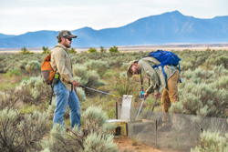 Sandia National Laboratories wildlife biologists Austin Lewandowski and Evan Fahy check a herpetology trap for snakes, lizards, frogs and other critters on land controlled by the Department of Energy. Only reptiles and amphibians are evaluated as a part of species inventory, and everything that creeps, crawls, hops and slithers is set free.
