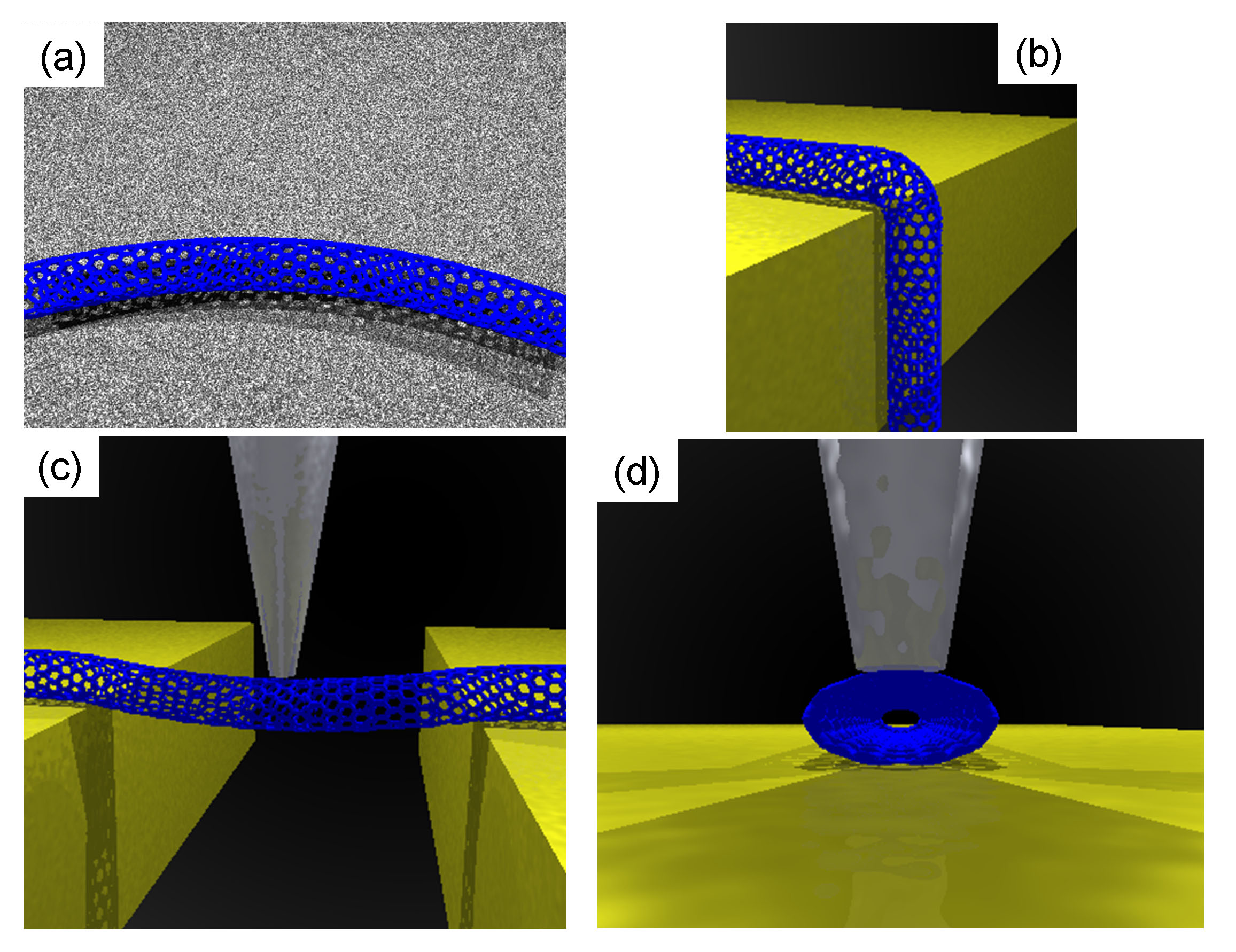 Schematic of a carbon nanotube (in blue). Figure 