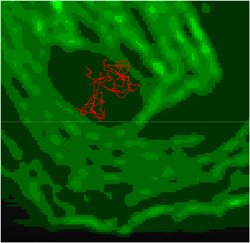 Total internal reflection fluorescence (TIRF) microscope time-lapse image of quantum-dot labeled proteins fluorescing on the surface of a cell membrane. (Media are welcome to download/publish this image with related news stories.)