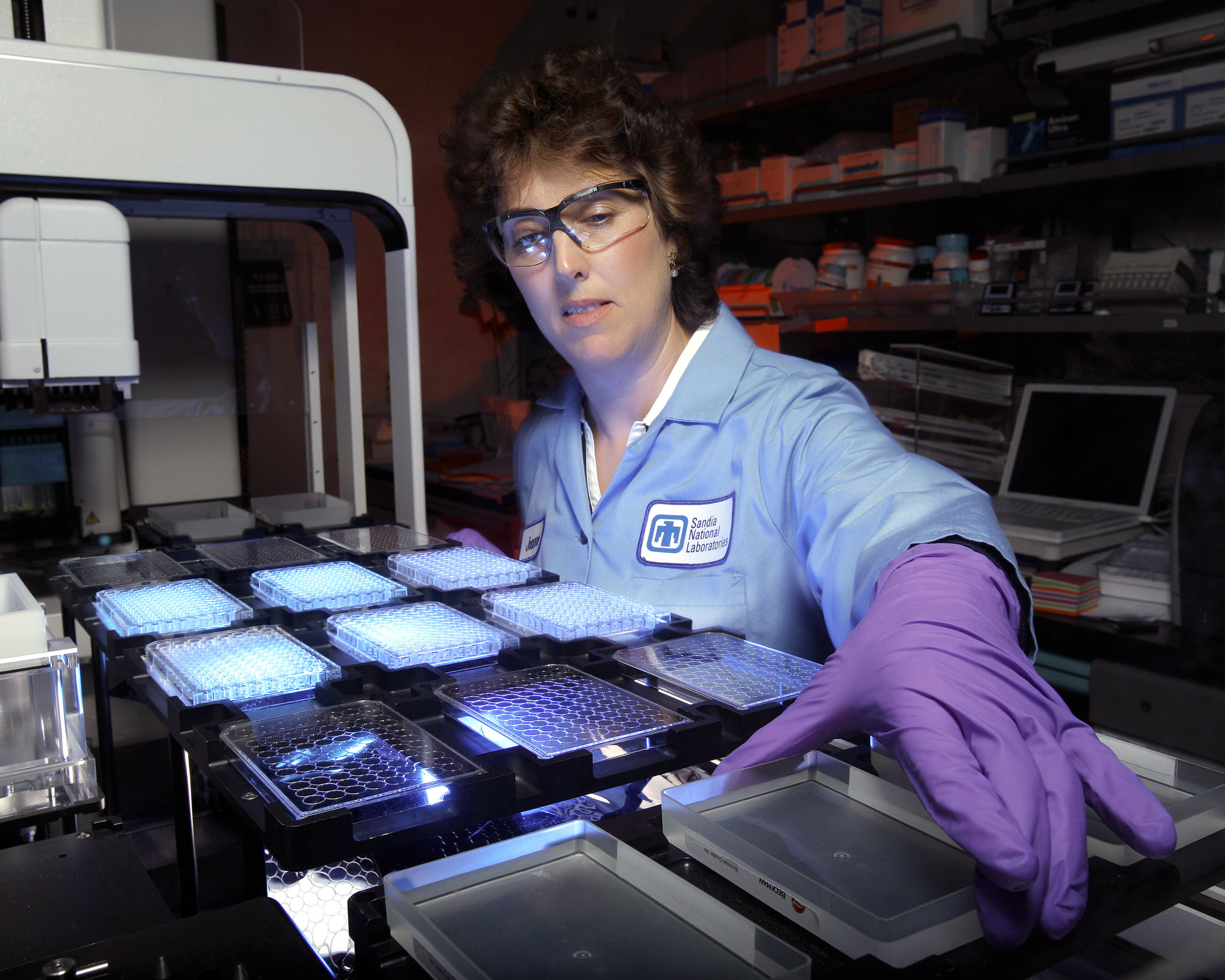 Biochemist Joanne Volponi prepares samples of cellulase enzymes for activity assaying in a high-throughput, fluid-handling robotic system. Sandia is demonstrating various computational tools and enzyme engineering methods that can help process cellulosic biomass. (Photo by Randy Wong)
