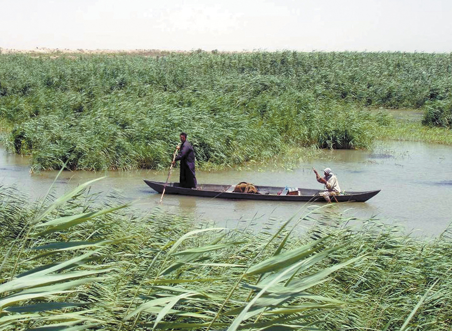 Marsh Arabs poling a traditional mashoof in the marshes of southern Iraq.The Marsh Arabs, or Ma'dan, dwell in the marshlands of the Tigris-Euphrates system in the south and east of Iraq and along the Iranian border. A Sandia team has been working with Iraqi scientists to develop a model of the nation's surface water systems. (Photo courtesy of U.S. Army Corps of Engineers. (Photo courtesy of US army Corps of Engineers )<br />
Download 300dpi 1.40MB JPEG<br />
<br />
(Media are welcome to download/publish this image with related news stories.)