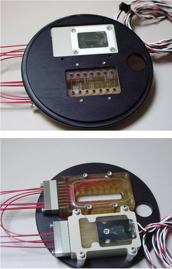Top and bottom of a single-cell MICA platform array and cell sorter that are mounted in a microscopic plate (Photo by Sandia National Laboratories). Download 300dpi 345KB JPEG image (Media are welcome to download/publish this image with related news stories.)