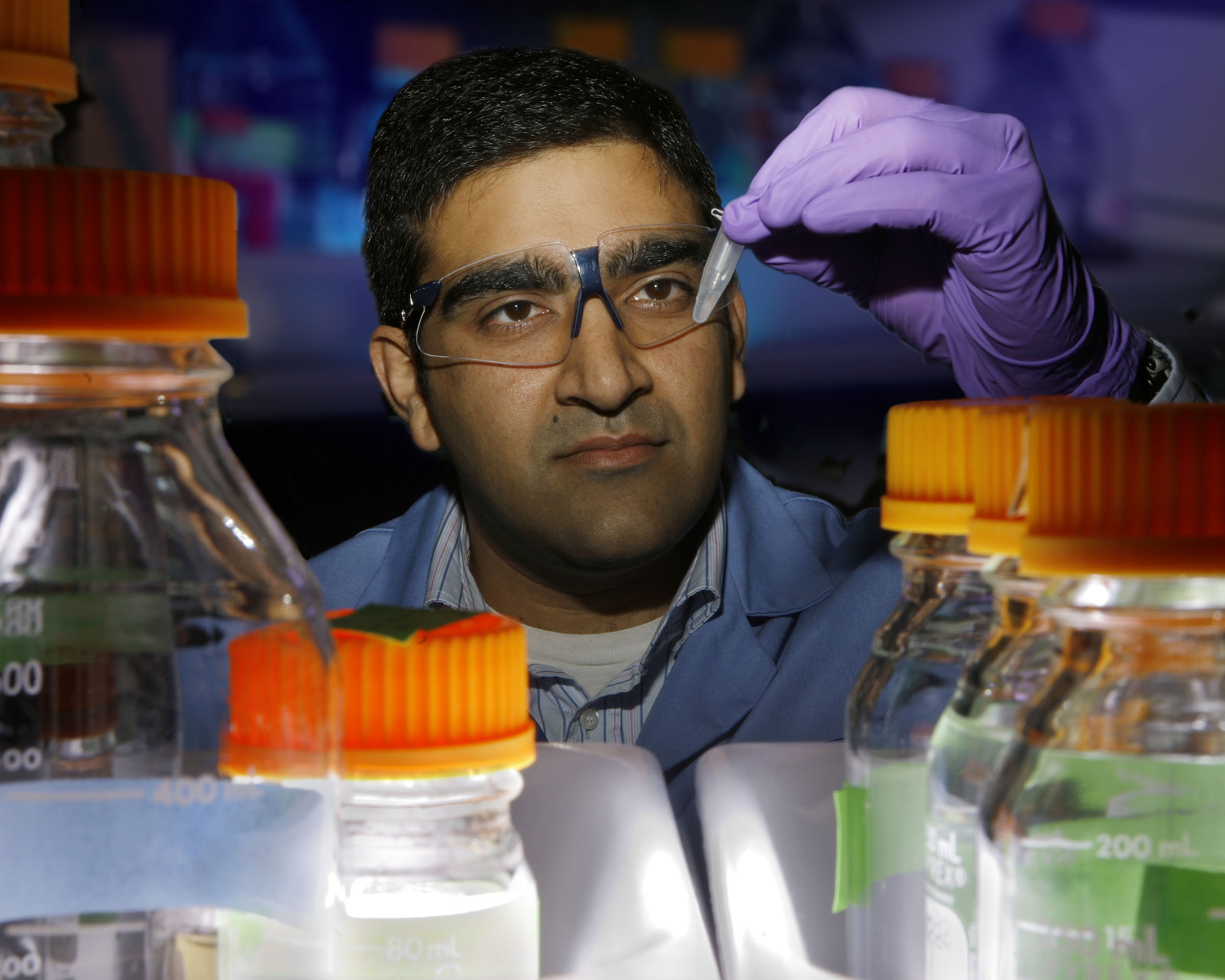 Sandia’s Rajat Sapra examines assays for the screening of engineered enzymes, originally from the organism Sulfolobus solfataricus, which show increased activity and stability at acidic conditions and high temperatures. (Photo by Randy Wong)
