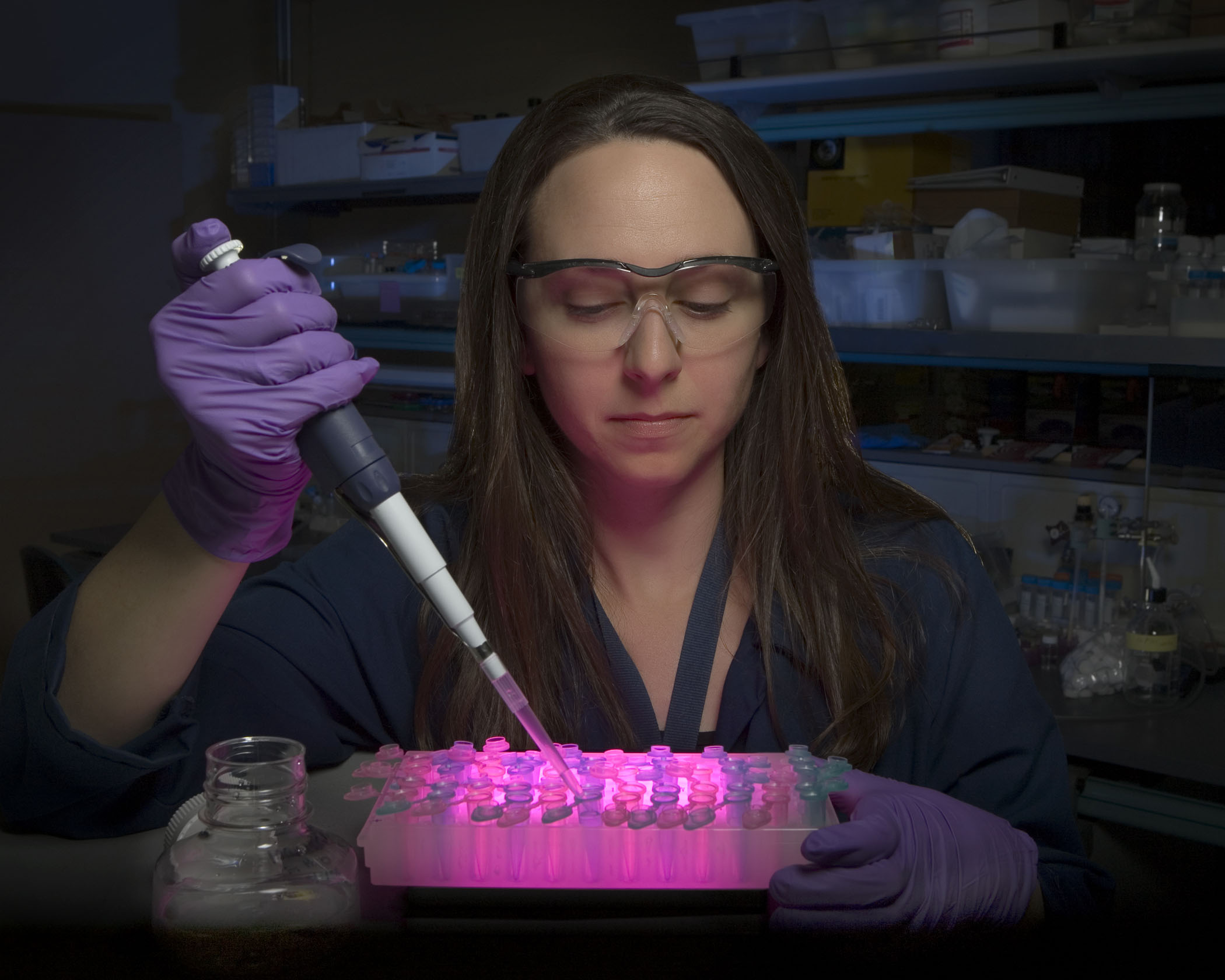 Sandia researcher Amy Herr prepares human saliva samples for analysis that will be conducted using Sandia’s lab-on-a-chip clinical diagnostic instruments. (Photo by Randy Wong)