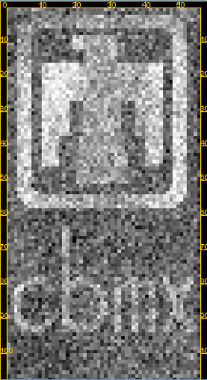 SOON-TO-BE SANDIA CRADA partner CombiMatrix’s 12,544-electrode array, patterned by Susan Brozik's team to form a T-bird and the CombiMatrix logo. Bright pixels correspond to protein detected on patterned electrodes.