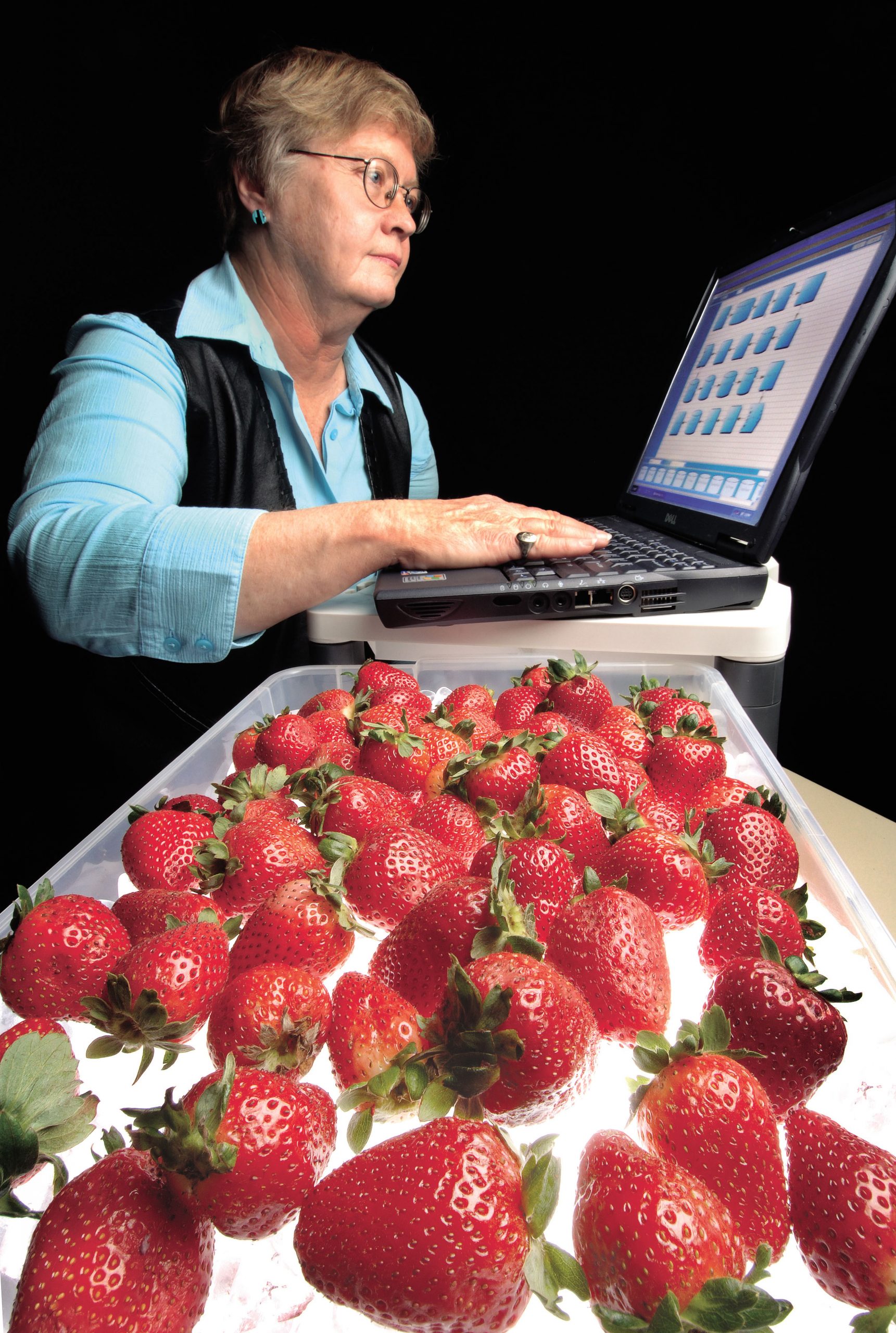 Strawberry fields forever? — Sandia researcher Susan Carson checks out a computerized program meant to help protect America’s food supply against terrorists. (Photo by Randy Montoya)