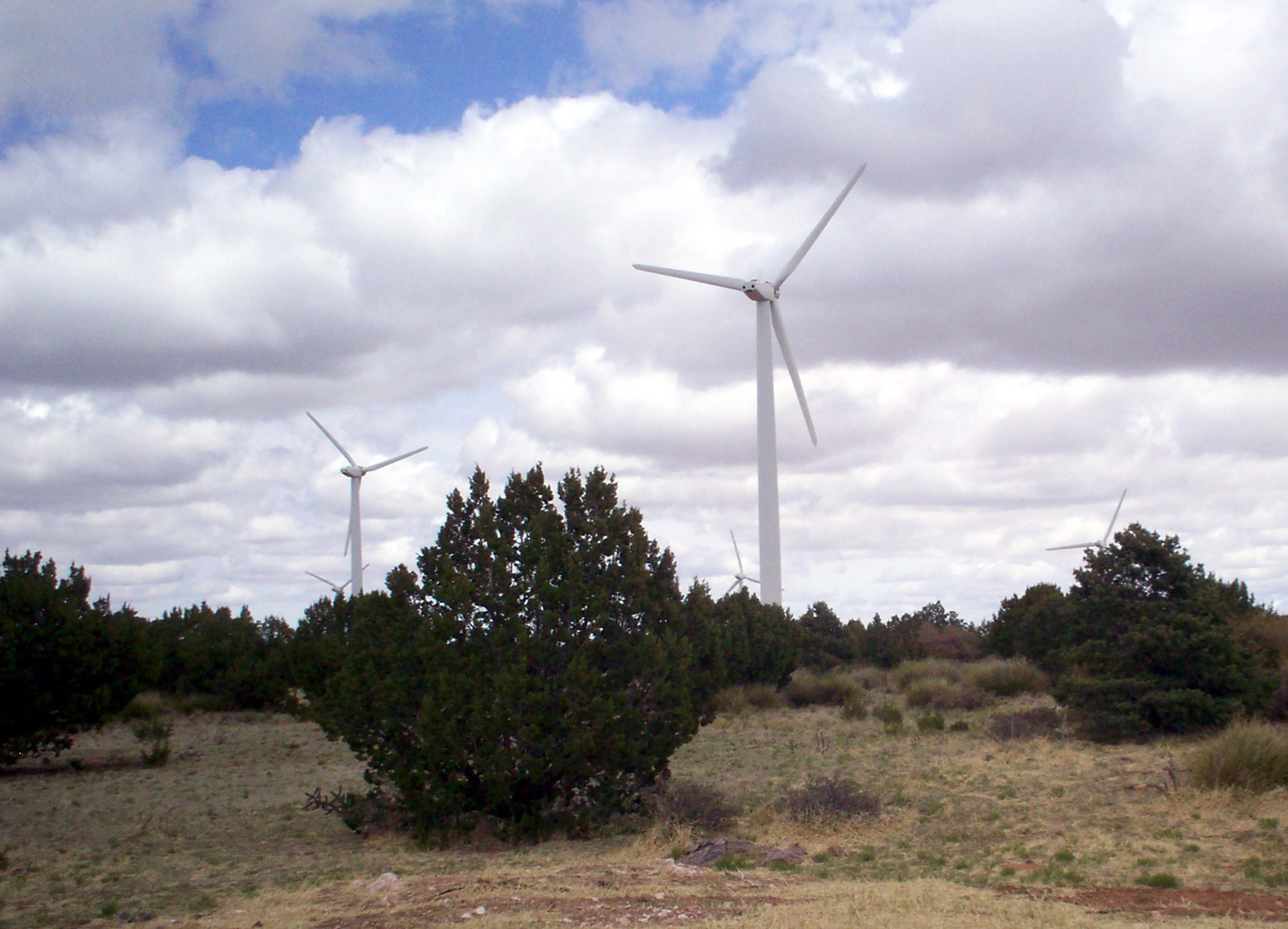 This wind farm on the Aragonne Mesa  southwest of Santa Rosa, N.M. is<br />
similar to the type that might be built on Kirtland Air Force Base.<br />
Download 300dpi 6.42MB JPEG image (Media are welcome to download/publish this image with related news stories.)