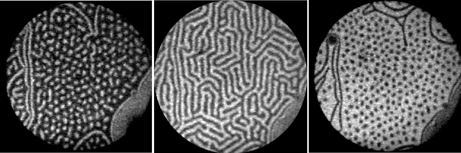 An evolution from droplets to stripes to inverted droplets , predicted by theory, is demonstrated here in successive images by Sandia experimenters.