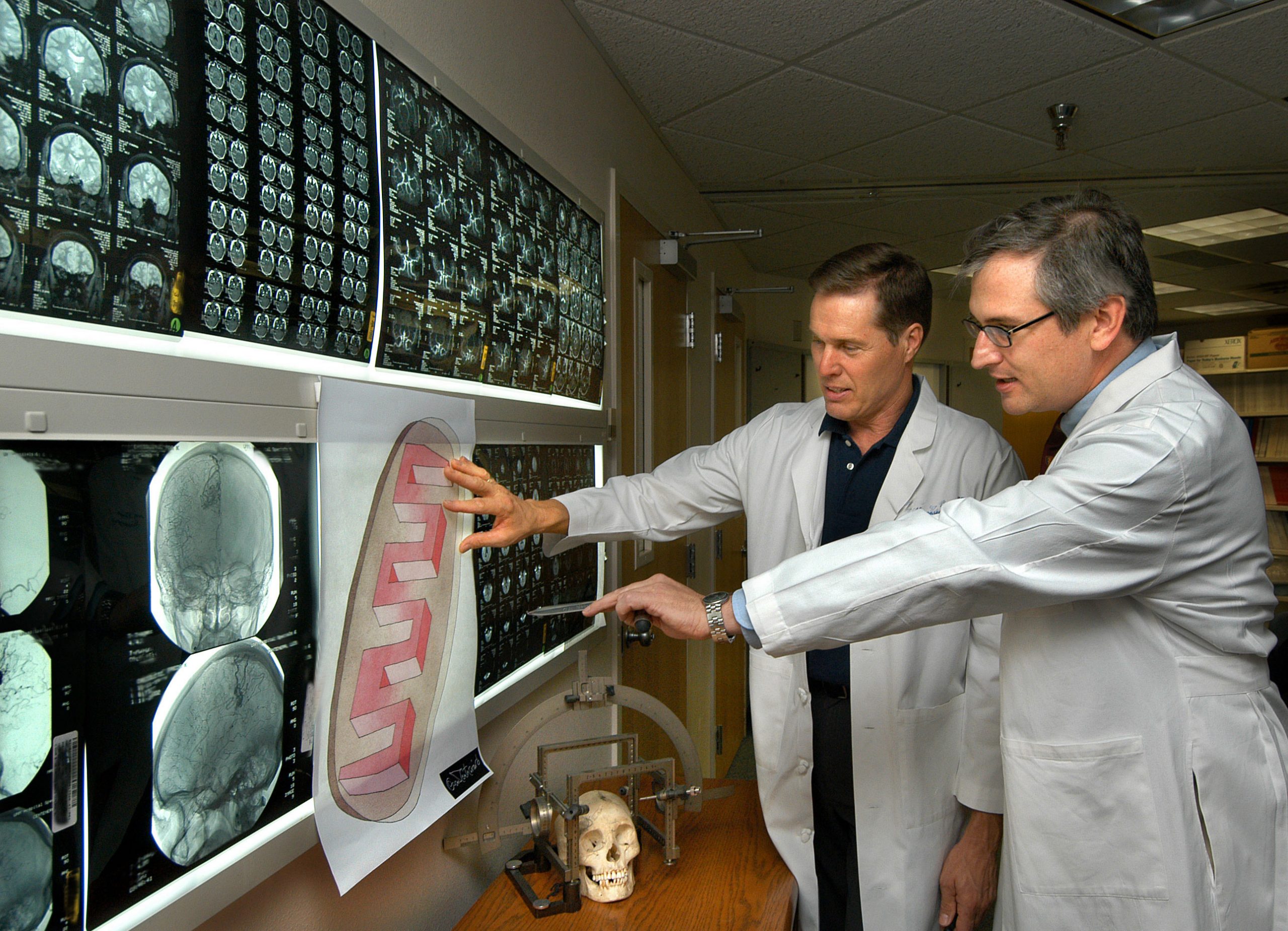 SURROUNDED BY MRIs of human brains, Sandia researcher Paul Gourley, left, and Marcus Keep, a neurosurgeon professor at the University of New Mexico School of Medicine, examine a fanciful drawing of a mitochondrion by recently deceased Swedish artist Oscar Reutersvard. The photo site is at UNM. (Photo by Randy Montoya)