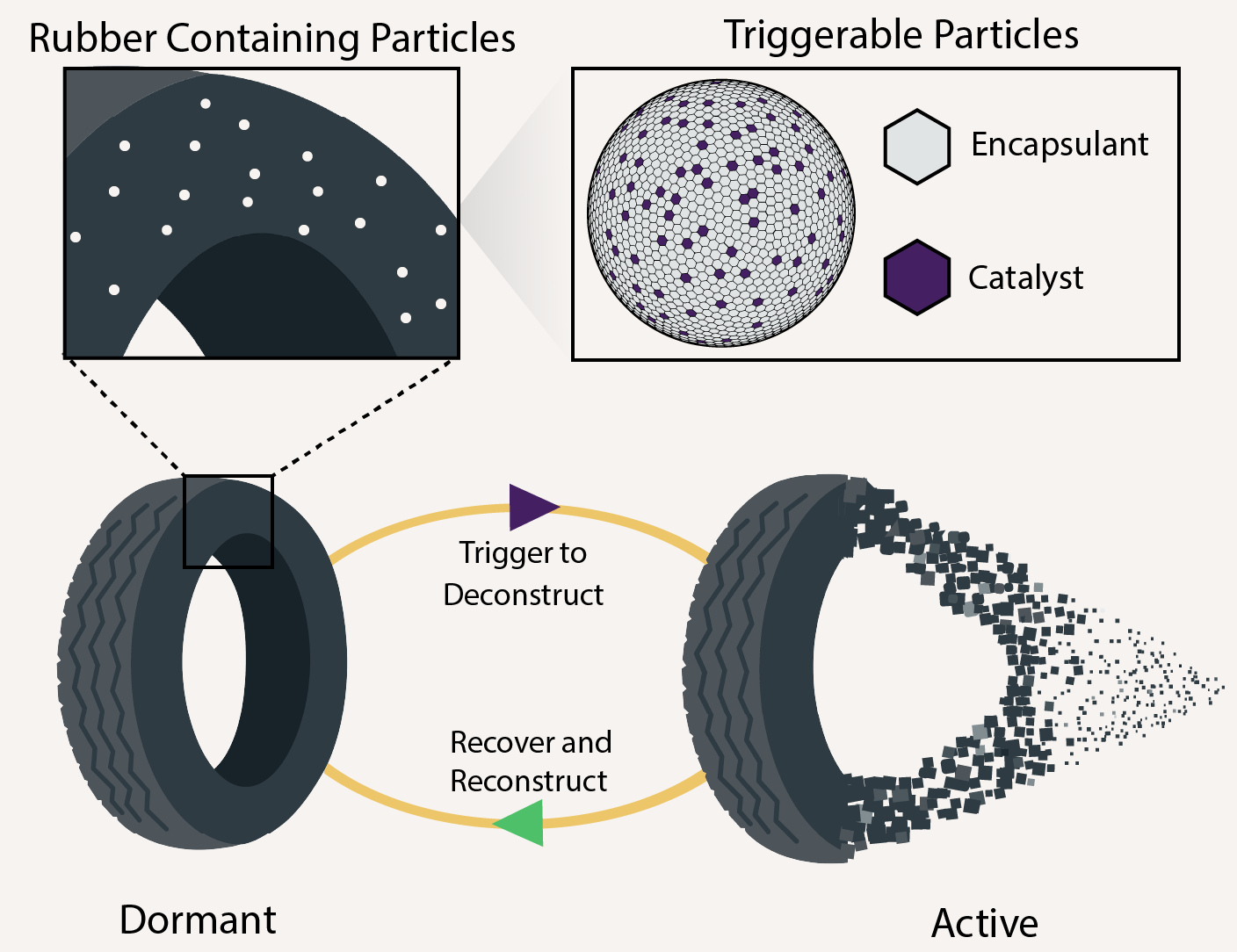 Sandia National Laboratories researchers demonstrate how building a catalyst and reagents inside a plastic or rubber will help the product self-destruct on demand. 