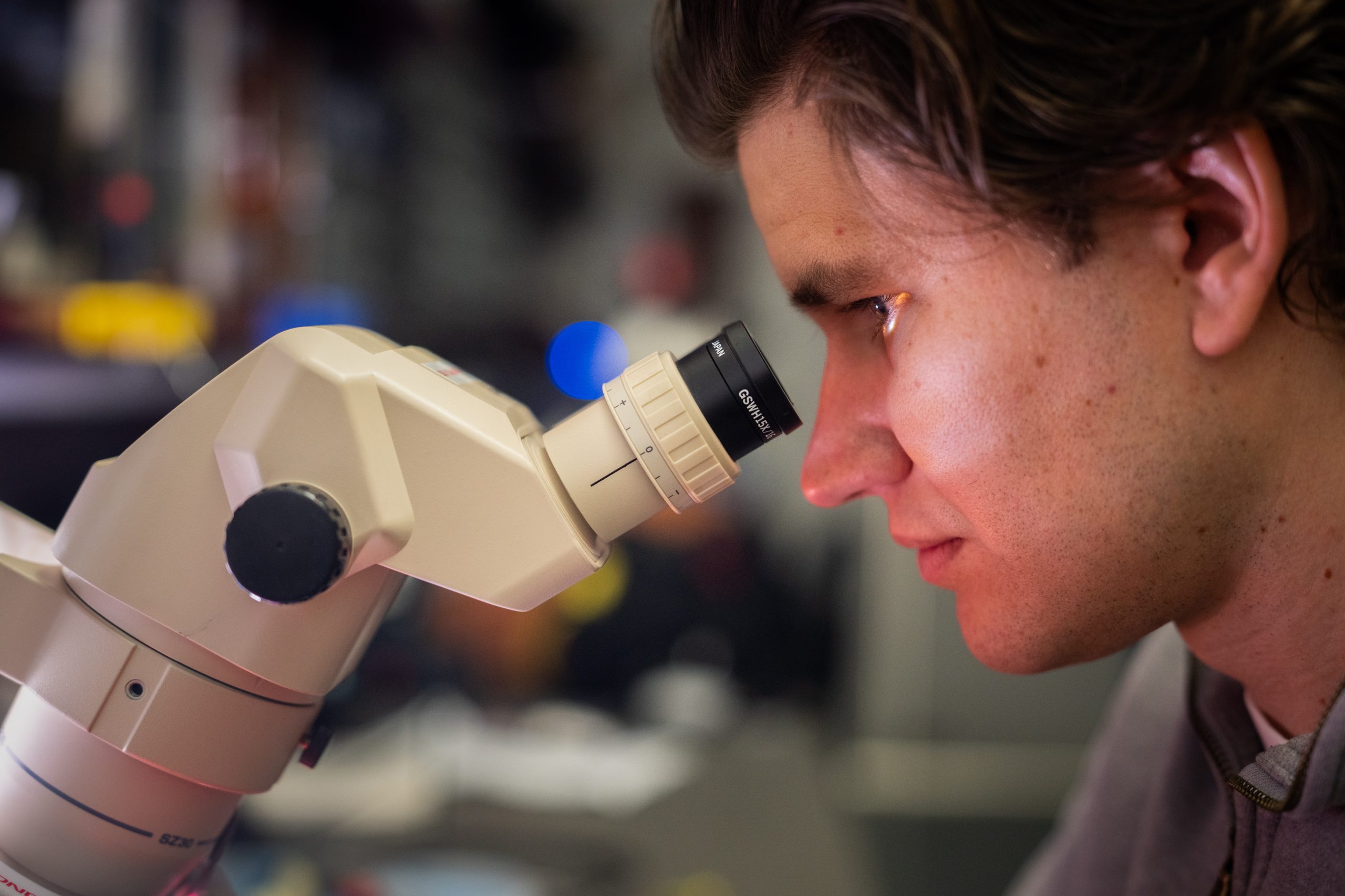 Chris Allemang at microscope