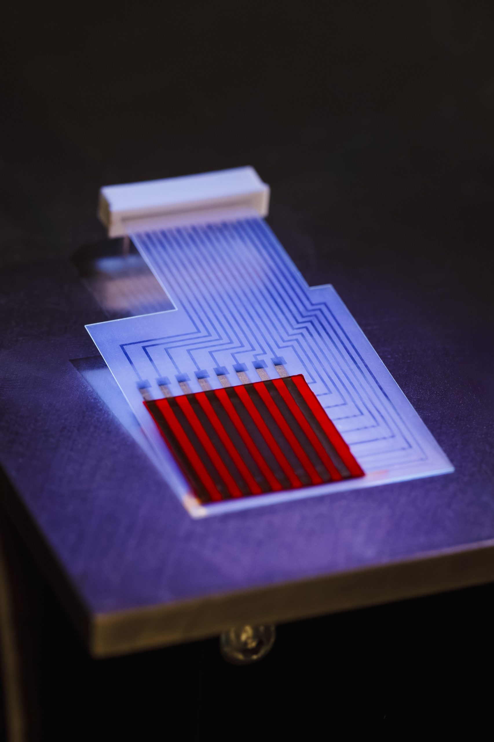 The dosimeter patch technology developed by Patrick Doty and Isaac Aviña is a flexible, wearable, disposable way to protect cancer patients, health providers, first responders and warfighters from toxic radiation exposure. 