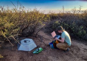 <strong>Year-round intern Logan Scamfer checks data recorded by a ground sensor.</strong> (Photo courtesy of Logan Scamfer) Click on the thumbnail for a high-resolution image.