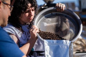 <strong>Kate Sweeney from Michael Thomas Coffee empties coffee beans that were roasted using heat from a thermal testbed at Sandia National Laboratories as part of Cooperative Research and Development Agreement. </strong> (Photo by Craig Fritz) Click on the thumbnail for a high-resolution image.