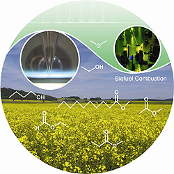 Aspects of biofuel combustion chemistry cover