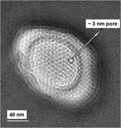 This image, taken by a transmission electron microscope at the University of New Mexico, shows the unique kinked nanopore array platform.