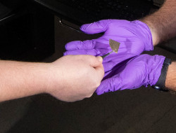 Hand with nickel-sized wafer held with tweezers placing wafer in open purple-gloved hands.